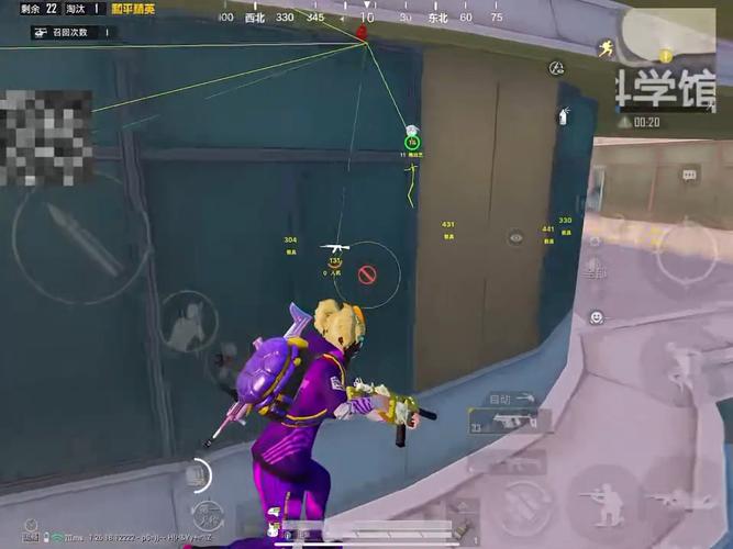 探索和平精英辅助对游戏公平性的挑战